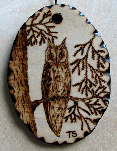 long-eared owl tanja sova pyrogaphy